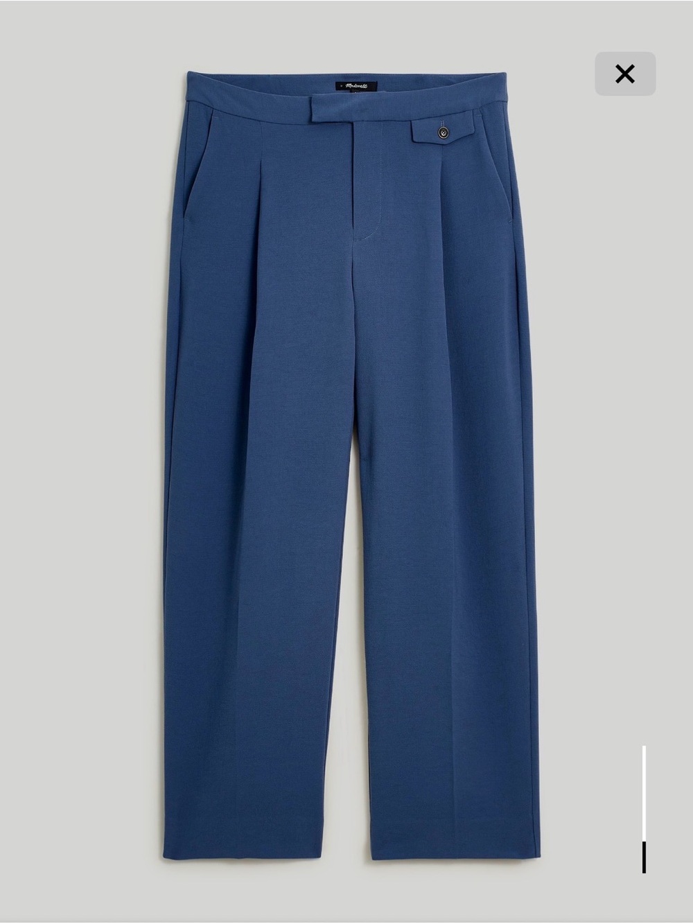 Madewell Wide-Leg Pleated Trousers in Blue